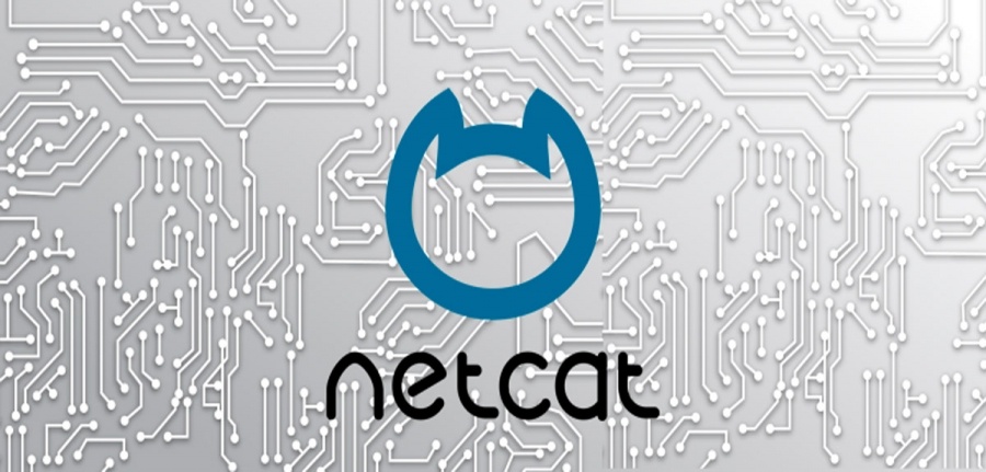 Обновления CMS Netcat и сертификат разработчика